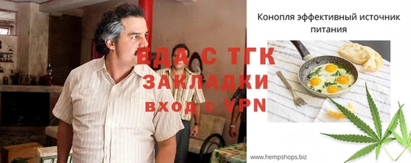 шишки Гусиноозёрск