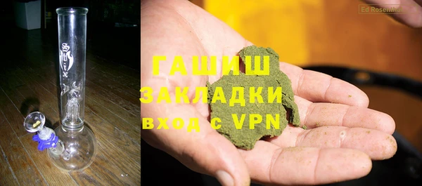 шишки Гусиноозёрск