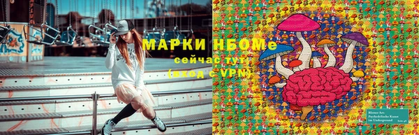 шишки Гусиноозёрск