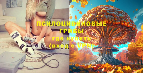 шишки Гусиноозёрск
