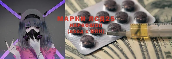 прущие грибы Гусев