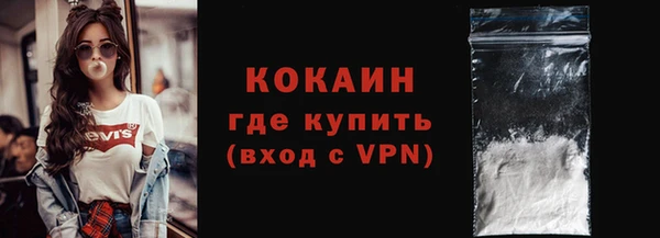 прущие грибы Гусев