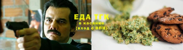 шишки Гусиноозёрск