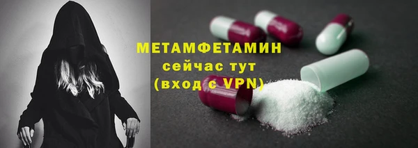 шишки Гусиноозёрск