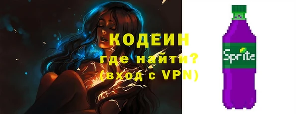 прущие грибы Гусев