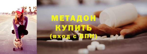 прущие грибы Гусев