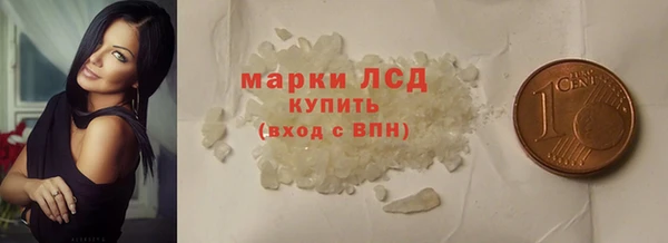 шишки Гусиноозёрск