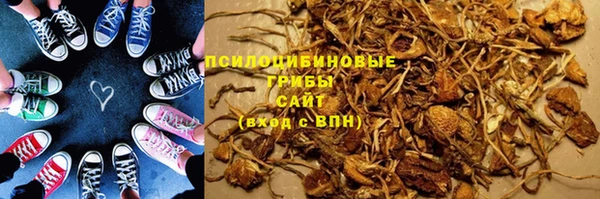 прущие грибы Гусев