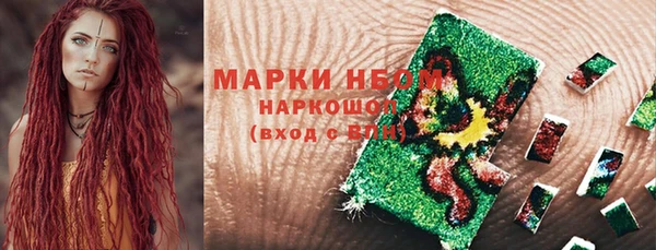 шишки Гусиноозёрск