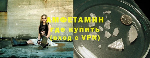прущие грибы Гусев