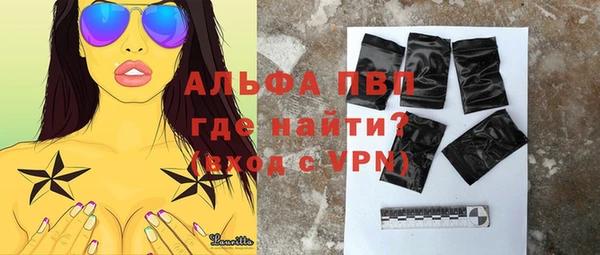 шишки Гусиноозёрск