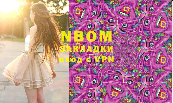 прущие грибы Гусев