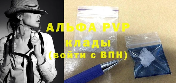 шишки Гусиноозёрск