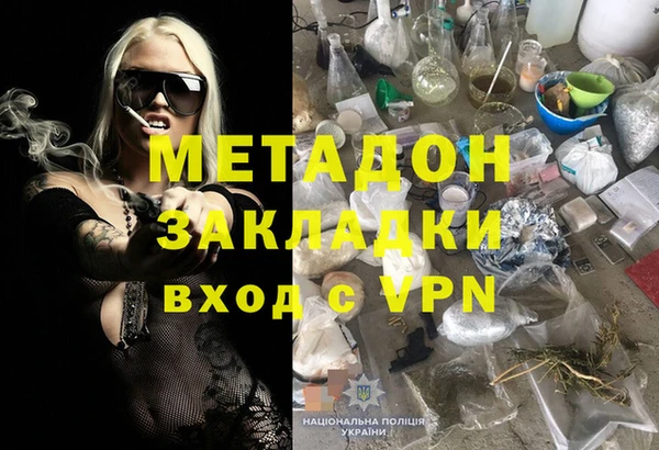 прущие грибы Гусев