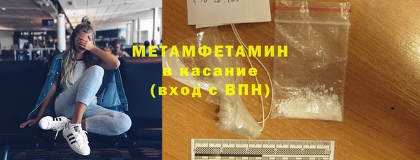 шишки Гусиноозёрск