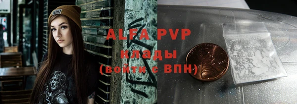 прущие грибы Гусев