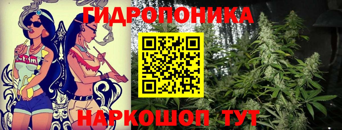 Канабис планчик Можга
